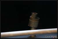 Cliquez pour voir 'JM_1105265597.jpg' JM_1105265597.jpg